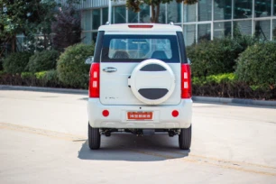 Haibao Ruiqi RHD & LHD Electric Vehicle New Energy Hatchback EV Car